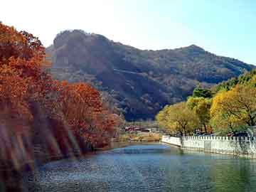 新澳天天开奖资料大全旅游团，鸭牌水泥